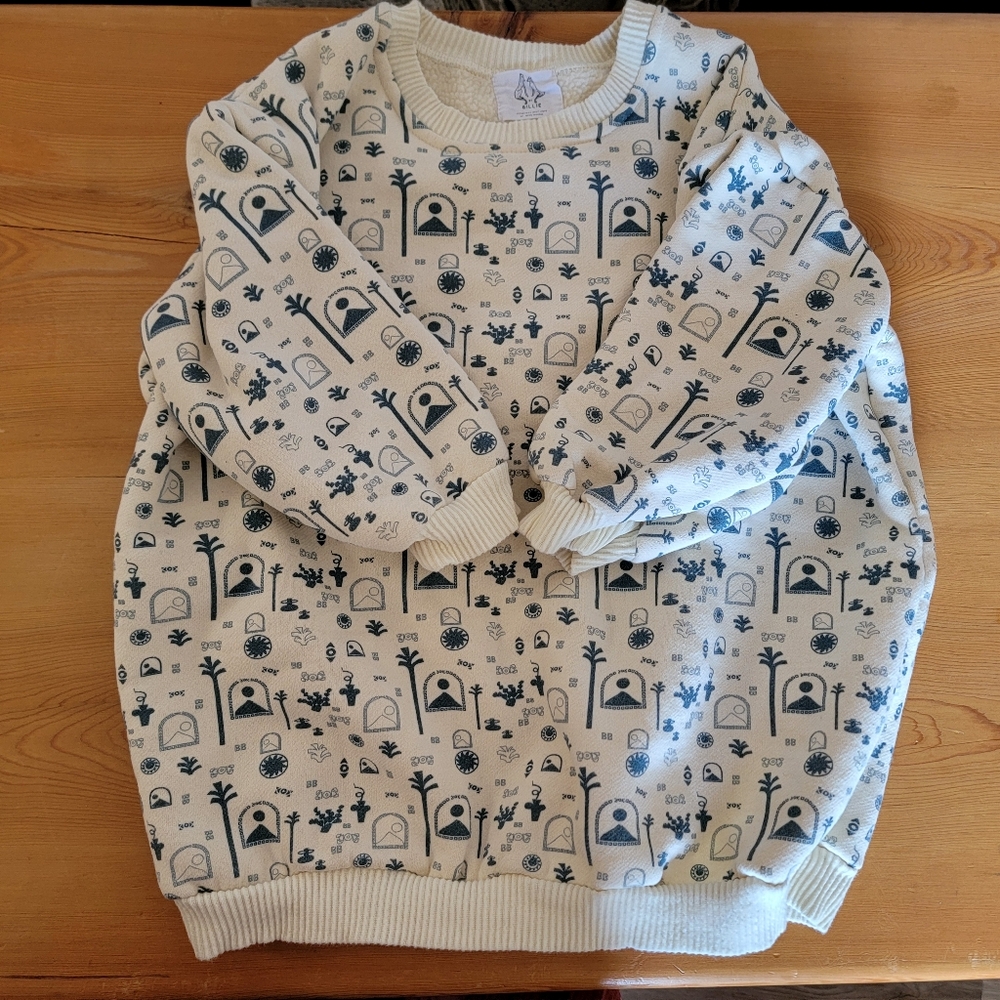 Super cute kids sweater (6T